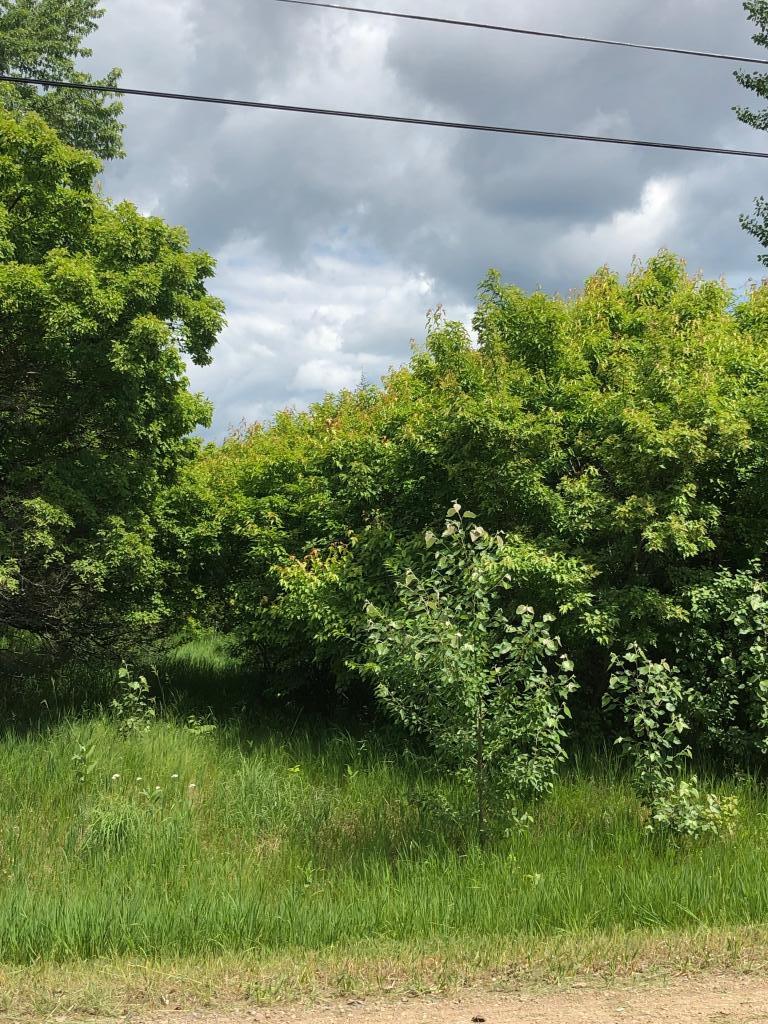18XXX Vassar St NE, Columbus, MN 55025