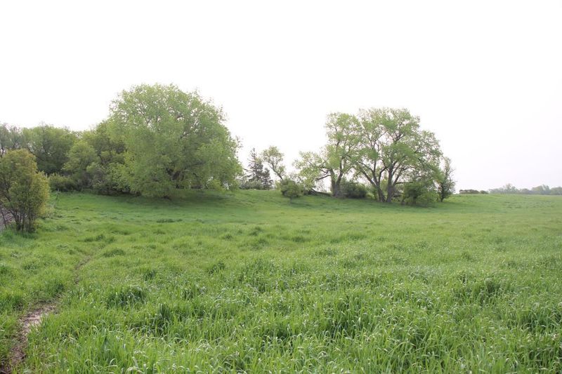 2052 Co Hwy 8, Tyler, MN 56178