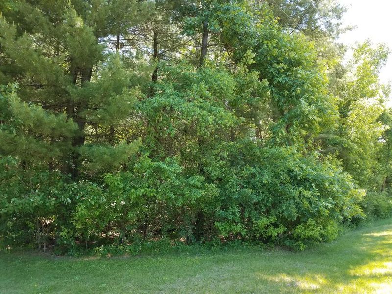 2610 Cedar Falls Rd, Menomonie, WI 54751