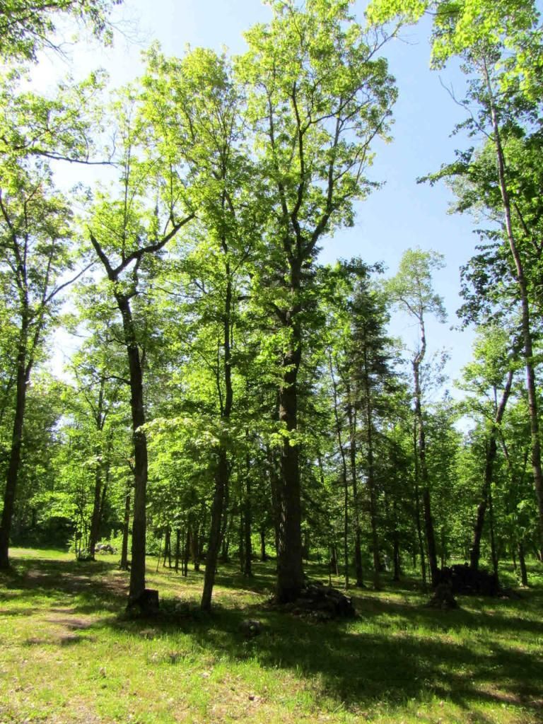 18589 Natures Edge Dr, Lake George, MN 56458