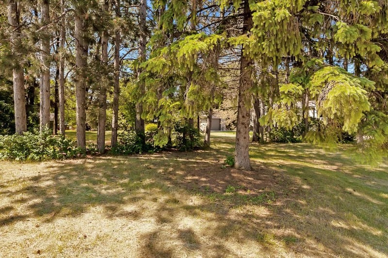 XXX 4th St N, Sartell, MN 56377