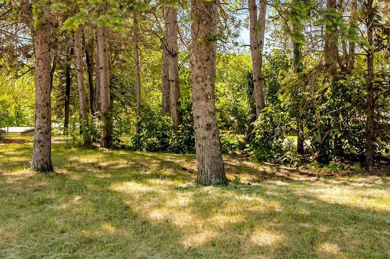 XXX 4th St N, Sartell, MN 56377