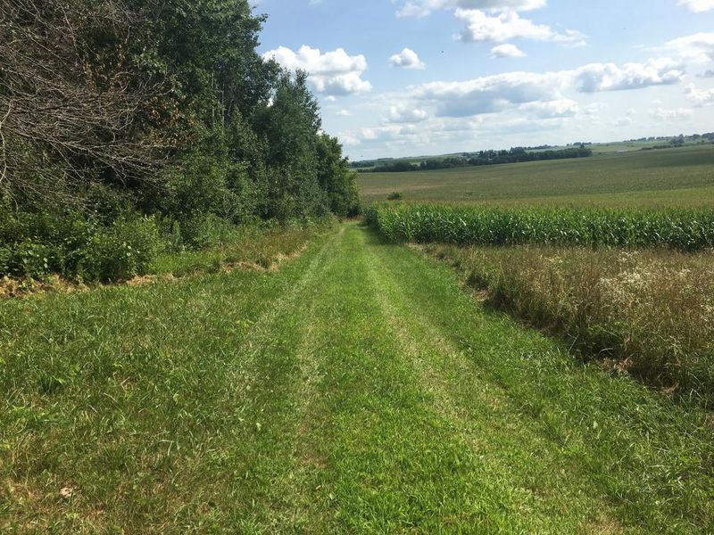 16028 Quincy Rd NE, Dover, MN 55929