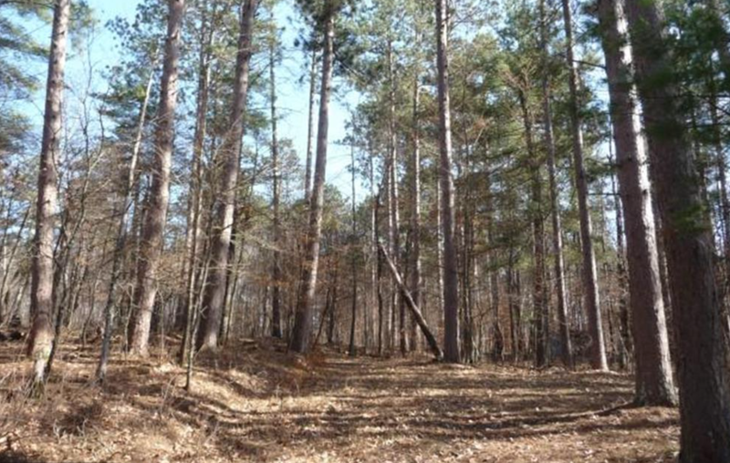 34633 Gasink Rd, Pequot Lakes, MN 56472