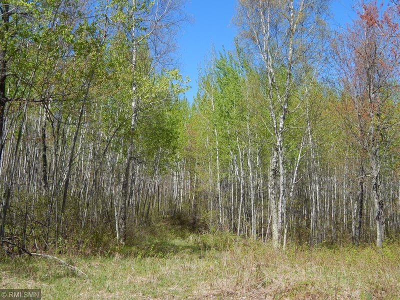XXX 32nd St SW, Pine River, MN 56472