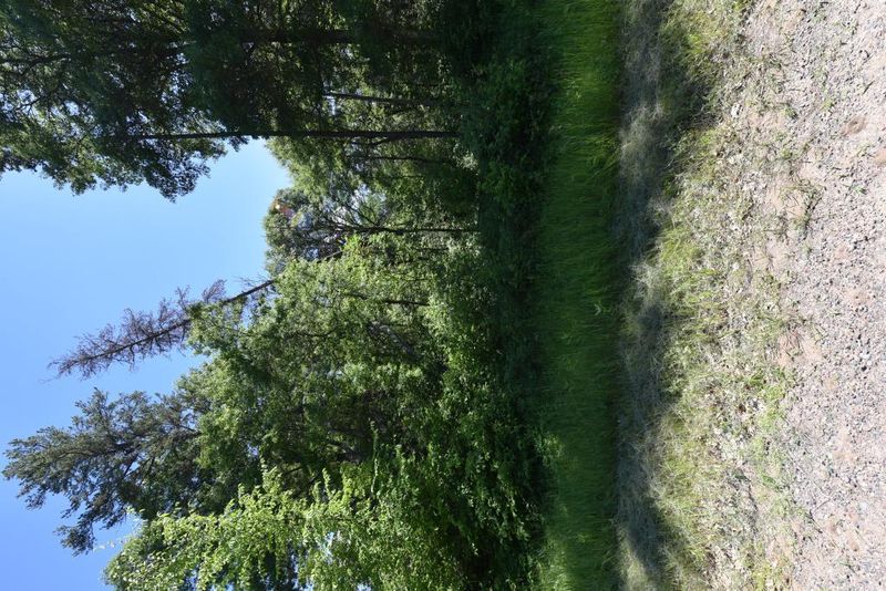 TBD Peace Rd, Brainerd, MN 56401