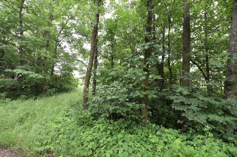 TBD 21st Ave SW, Lake Shore, MN 56468