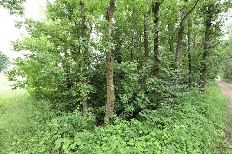 TBD 21st Ave SW, Lake Shore, MN 56468