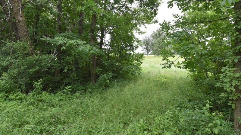 TBD 21st Ave SW, Lake Shore, MN 56468