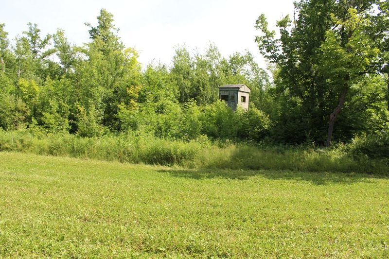 xxx County 20 Rd, Swatara, MN 55785