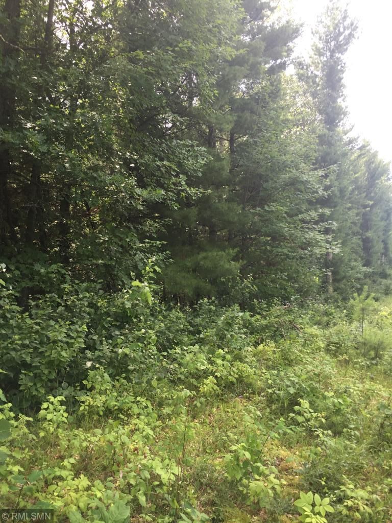 Lot 6 Evergreen Ave, Saint Croix Falls, WI 54024