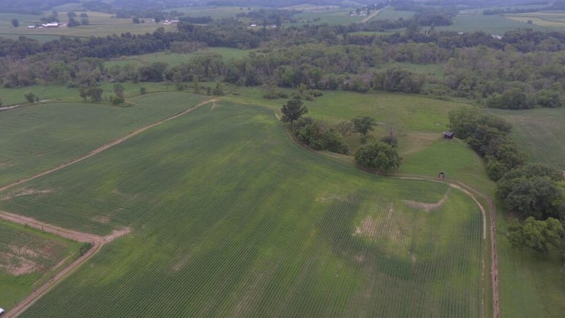 N20077 Angels Ridge Rd, Galesville, WI 54630