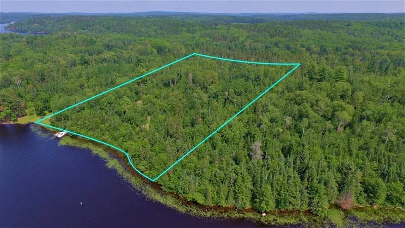xx1 Nelson Rd, Crane Lake, MN 55725