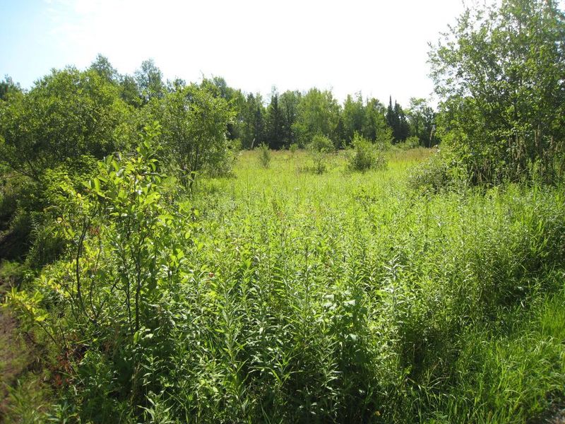 1160 N Holyoke Dr, Holyoke, MN 55749