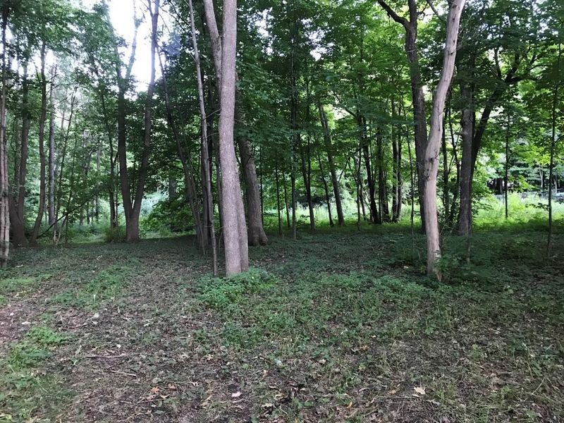 xx29 Mayer Ave NE, Saint Michael, MN 55376