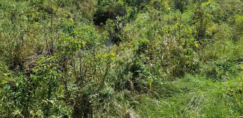 78.55 Acres County Rd S, Blair, WI 54616
