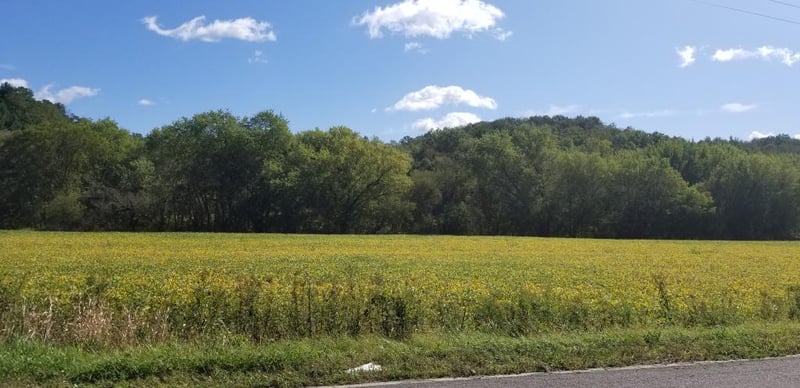 78.55 Acres County Rd S, Blair, WI 54616