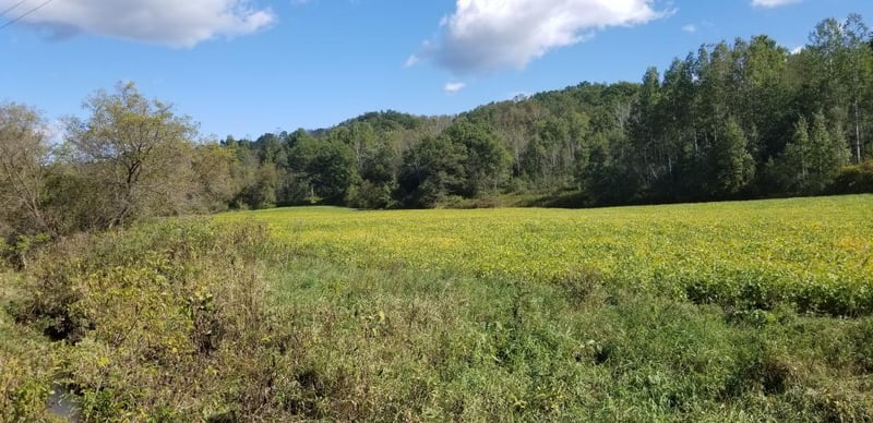 78.55 Acres County Rd S, Blair, WI 54616