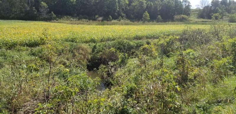 78.55 Acres County Rd S, Blair, WI 54616