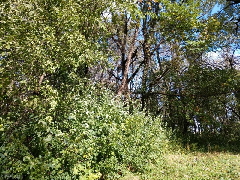 18567 Lamar Ave N, Marine On Saint Croix, MN 55047
