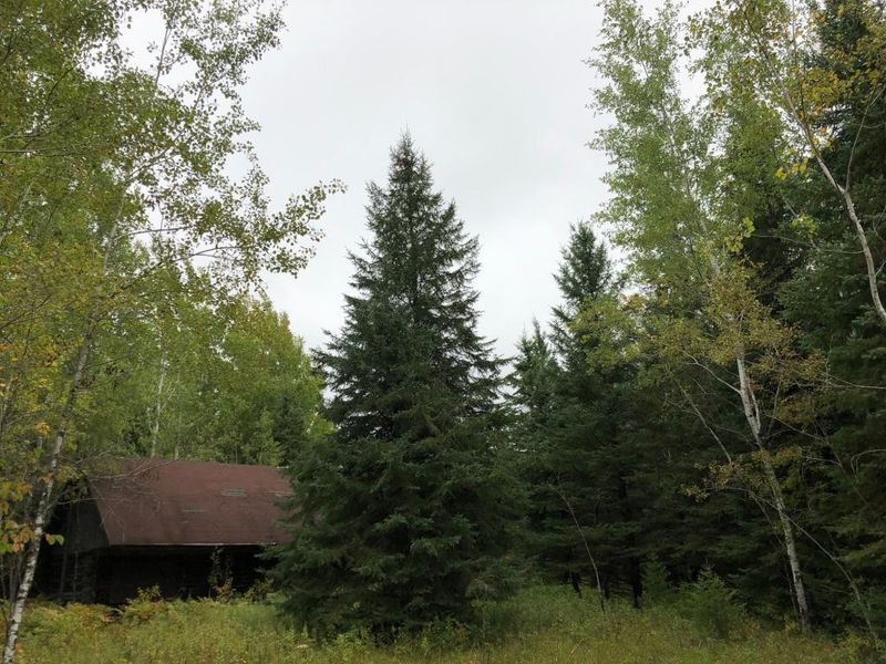 2149 S Schweiger Rd, Orr, MN 55771