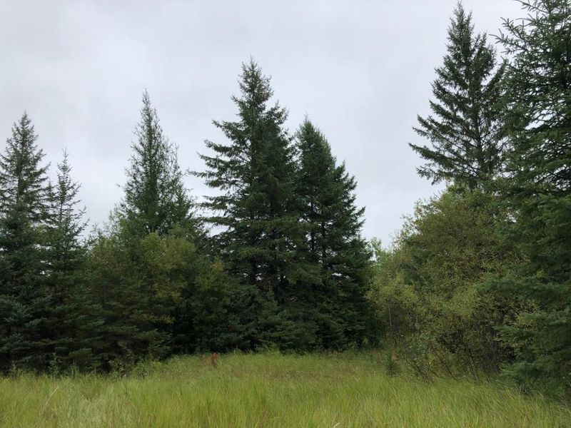 2149 S Schweiger Rd, Orr, MN 55771