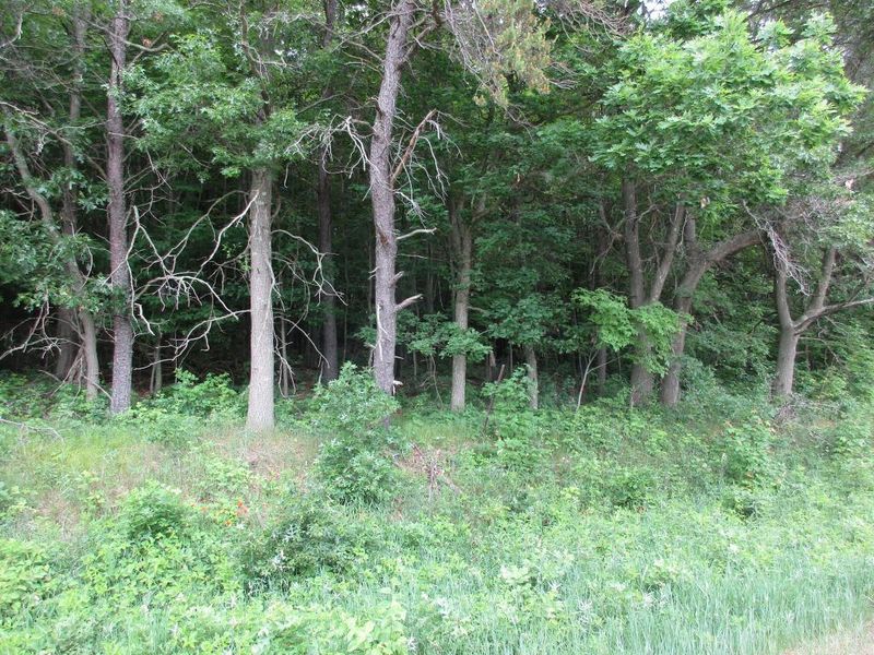 00 2nd Ave, Dallas, WI 54733