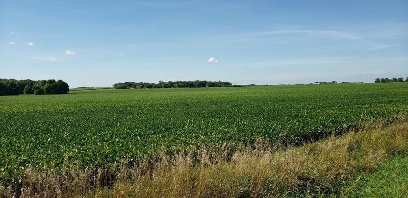 XXXX 265th Ave, Belle Plaine, MN 56011