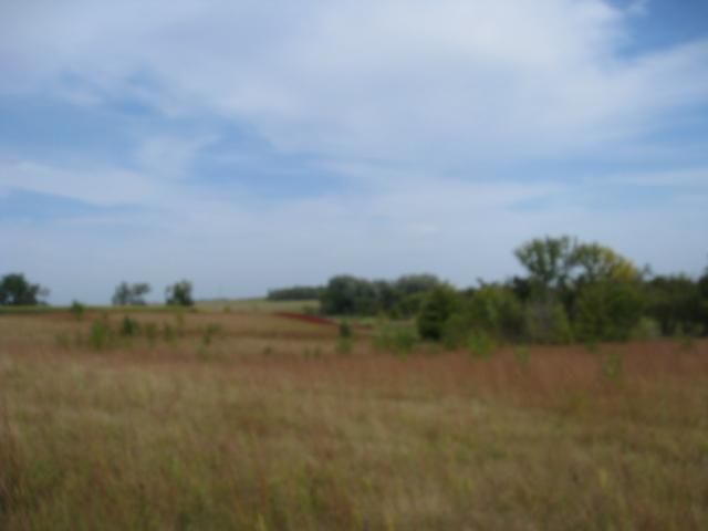 XXX 118th St, Lowry, MN 56349