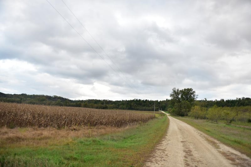xxx Sand Rd, Welch, MN 55089