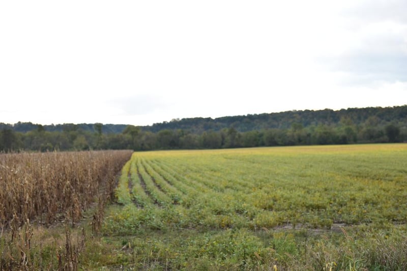 xxx Sand Rd, Welch, MN 55089