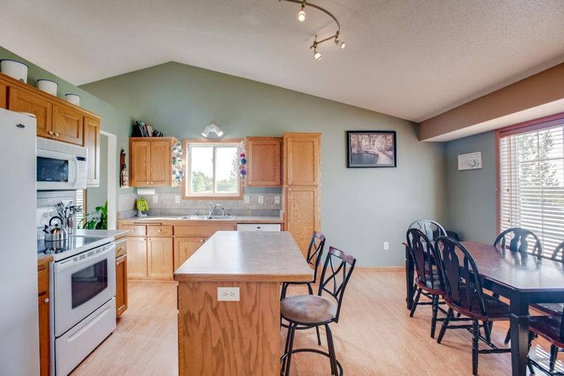 48159 Autumn Ct, Stanchfield, MN 55080
