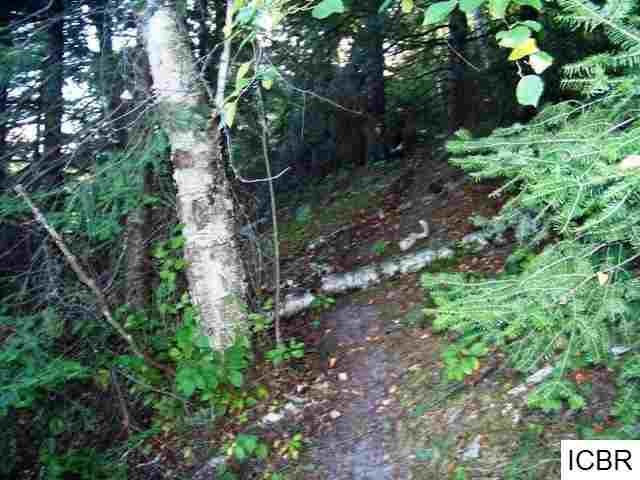 LOT C Gunn Lake, Marcell, MN 56657