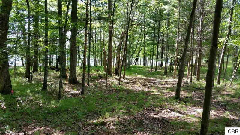 TBD Romans Rd, Grand Rapids, MN 55744