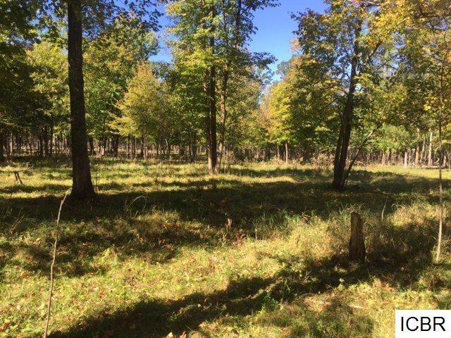 TBD County Rd 459, Cohasset, MN 55721