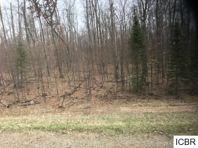 17845 Sugar Lake Trl, Cohasset, MN 55721