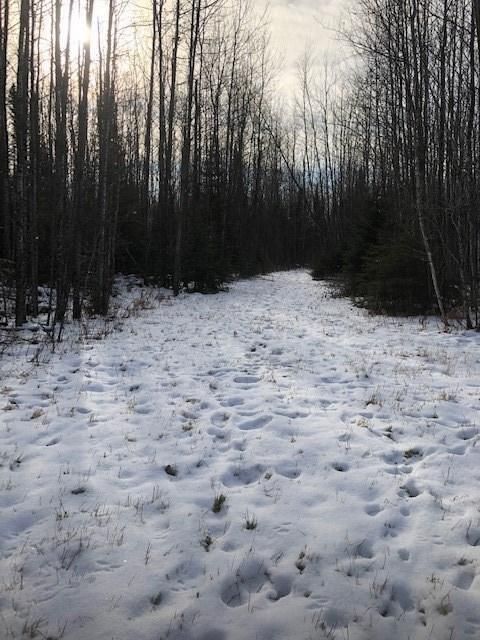 TBD County Rd 45, Marcell, MN 56657