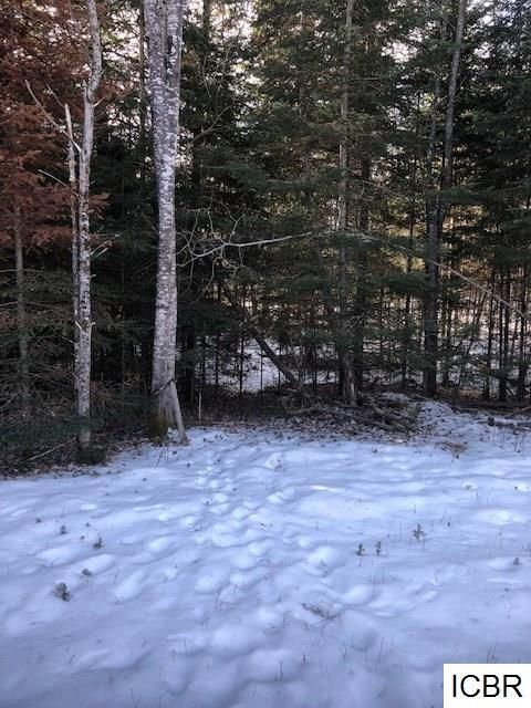 TBD County Rd 45, Marcell, MN 56657