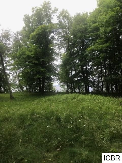 TBD Neon Rd, Deer River, MN 56636