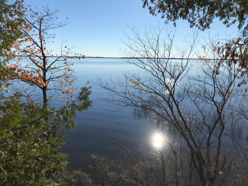 TBD Neon Rd, Deer River, MN 56636