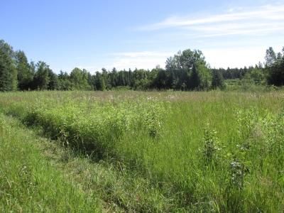 16494 County Rd 74, Warba, MN 55793