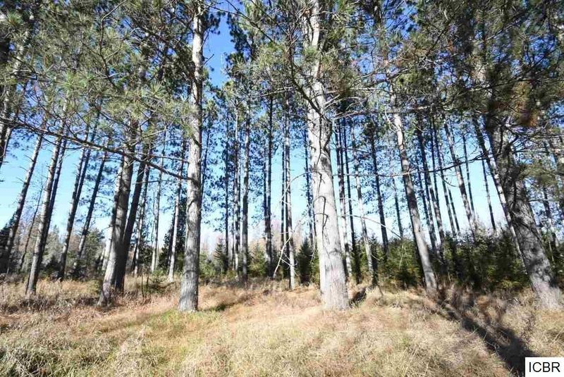 37668 County Rd 19, Deer River, MN 56636