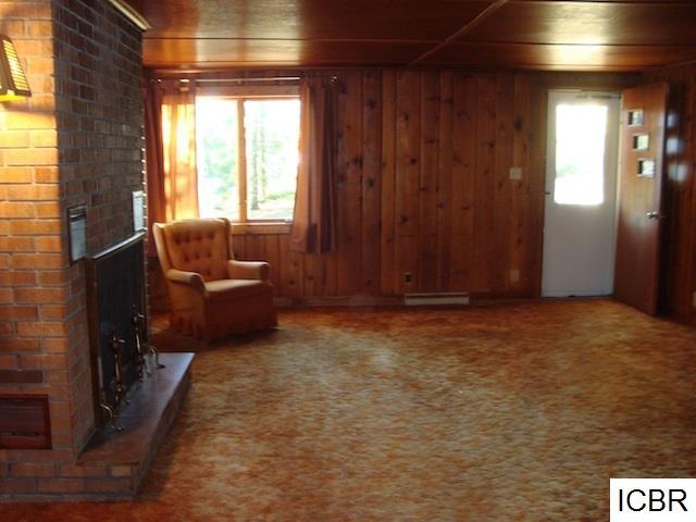 12855 Sturgeon Rd, Side Lake, MN 55781