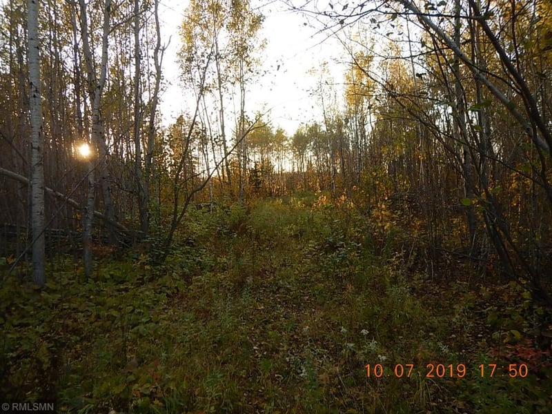 5377 Mattson Rd, Finland, MN 55603