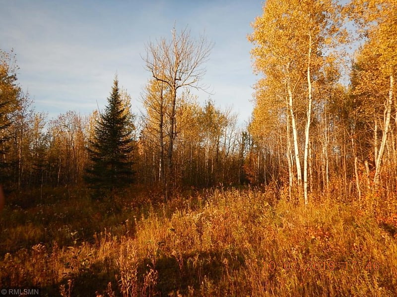 5377 Mattson Rd, Finland, MN 55603
