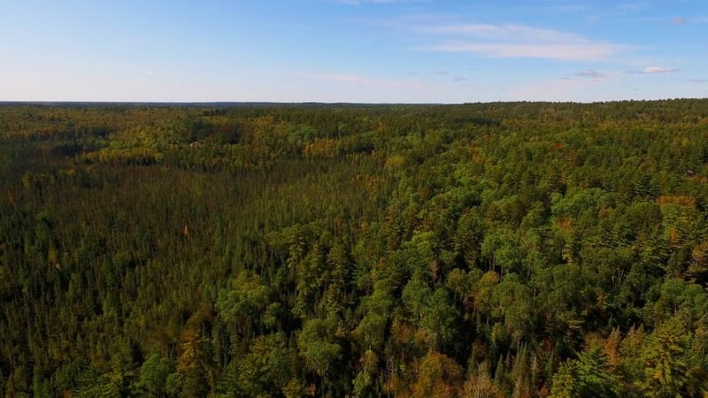 TBD Lindskog Rd, Ely, MN 55731