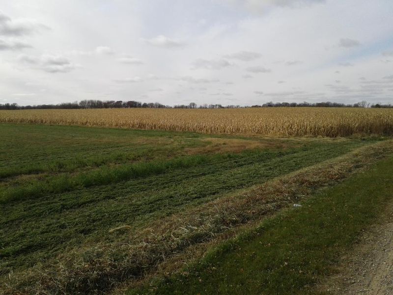 xxxx 110th St, Plato, MN 55370