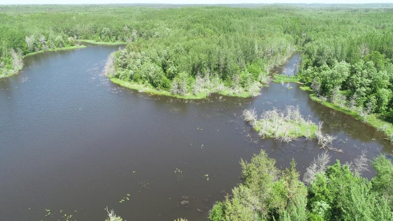 1595 Frog Lake Rd, Webb Lake, WI 54830