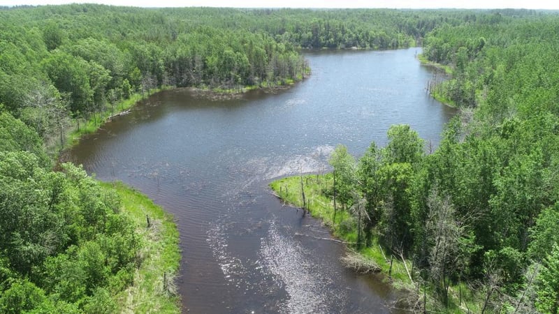 1595 Frog Lake Rd, Webb Lake, WI 54830