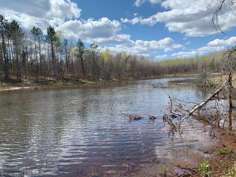 1595 Frog Lake Rd, Webb Lake, WI 54830